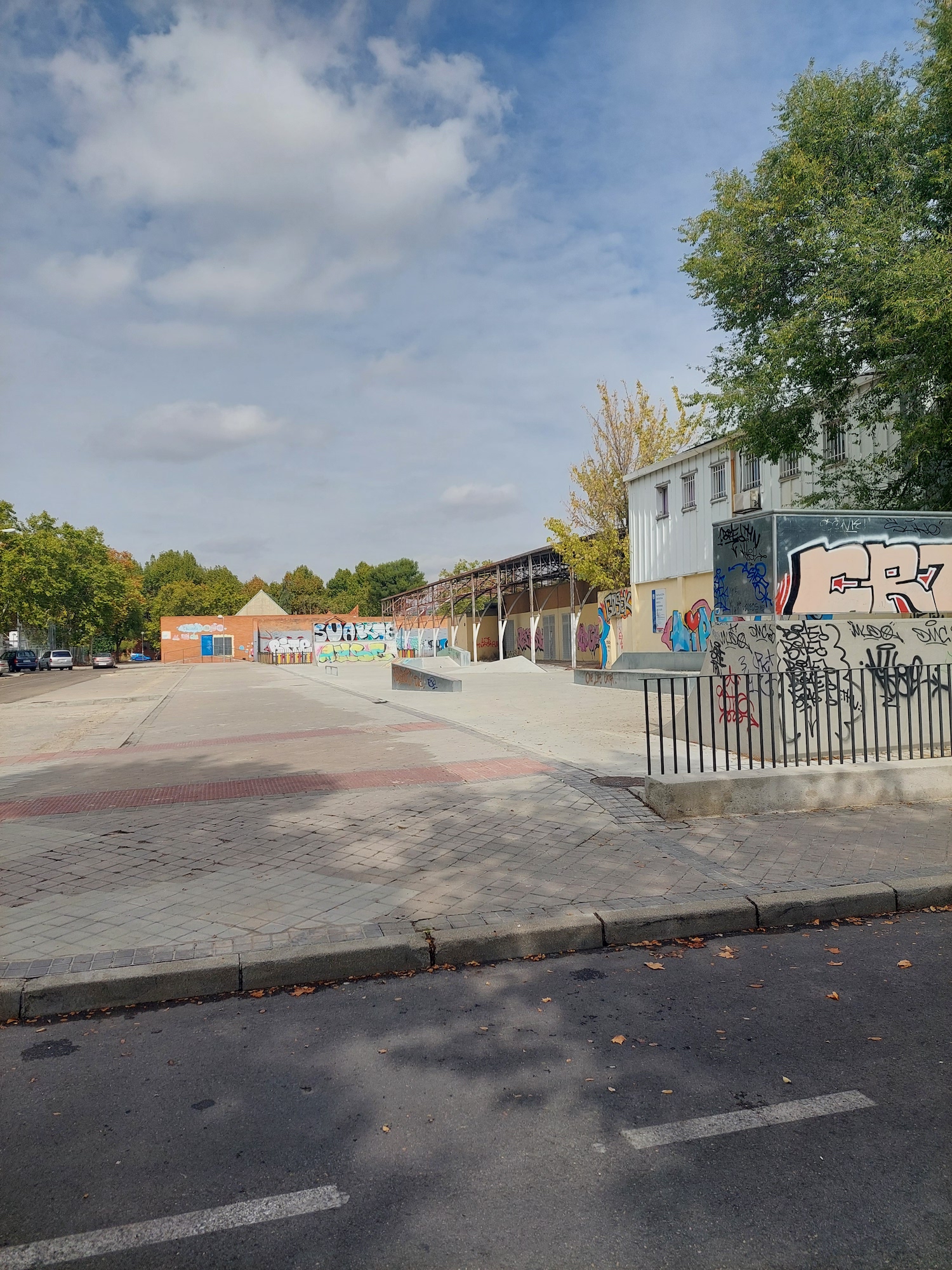 Fernando Ortizm skatepark